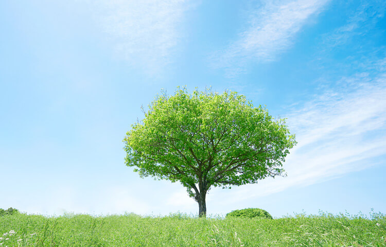 あなたに問題があると言わないケア